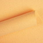 Fieltro Mandarina Claro 180gr - Ribes y Casals