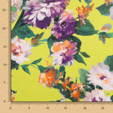 Fama Strecht Flores Lima - Ribes y Casals