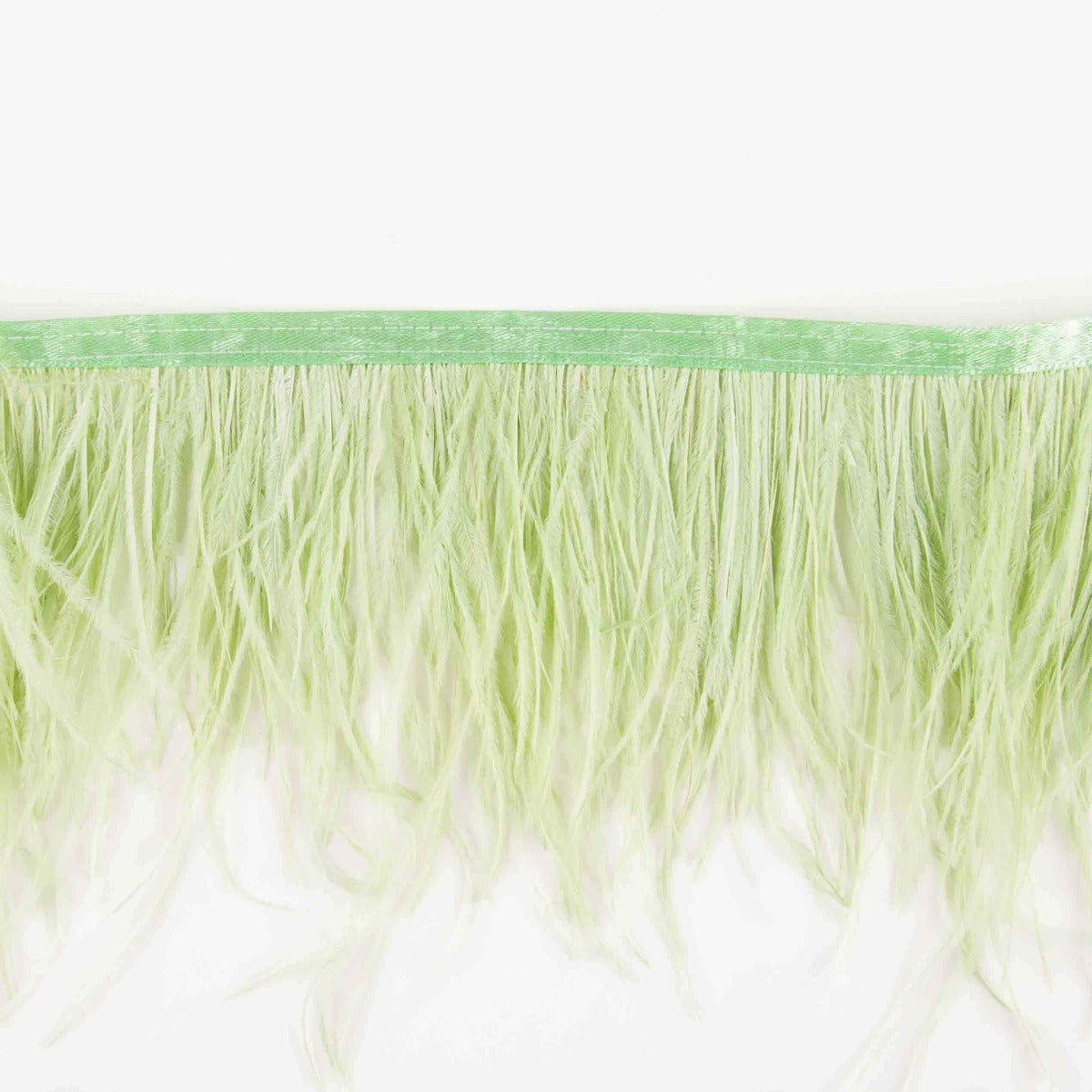 Fleco de Plumas Plus Menta - Ribes y Casals