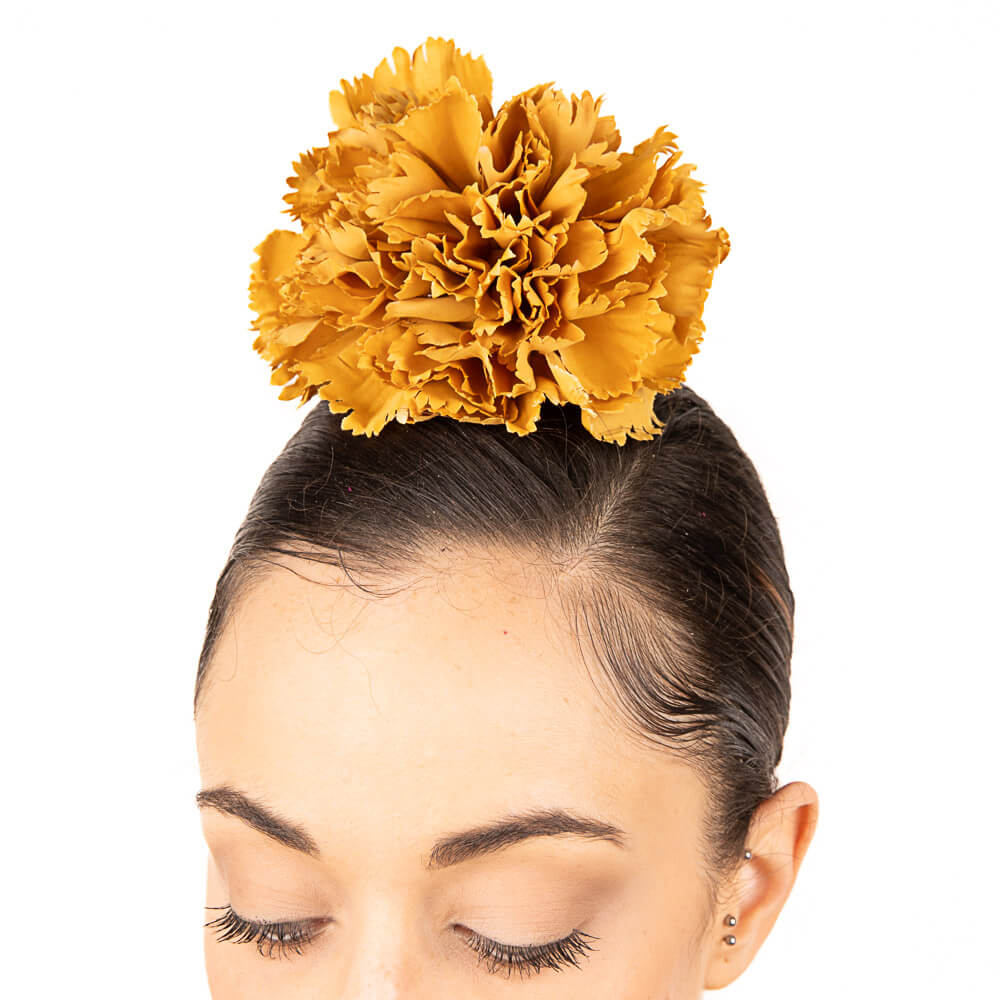 Clavel Flamenco Albero - Ribes y Casals