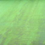 Foam Nacar Verde - Ribes y Casals