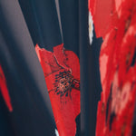 Gasa Poliéster Amapola - Ribes y Casals