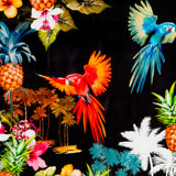 Gasa Tropical Negra - Ribes y Casals