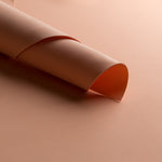 Goma Eva Salmón - Ribes y Casals