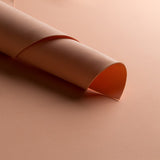 Goma Eva Salmón - Ribes y Casals