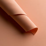 Goma Eva Salmón - Ribes y Casals