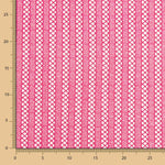 Guipur Listado Fucsia - Ribes y Casals