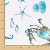 Half Panamá Caballos Mar Azul - Ribes y Casals