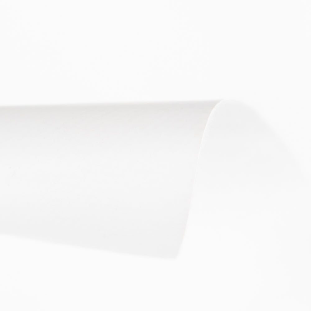 Hule Blanco - Ribes y Casals