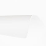 Hule Blanco - Ribes y Casals