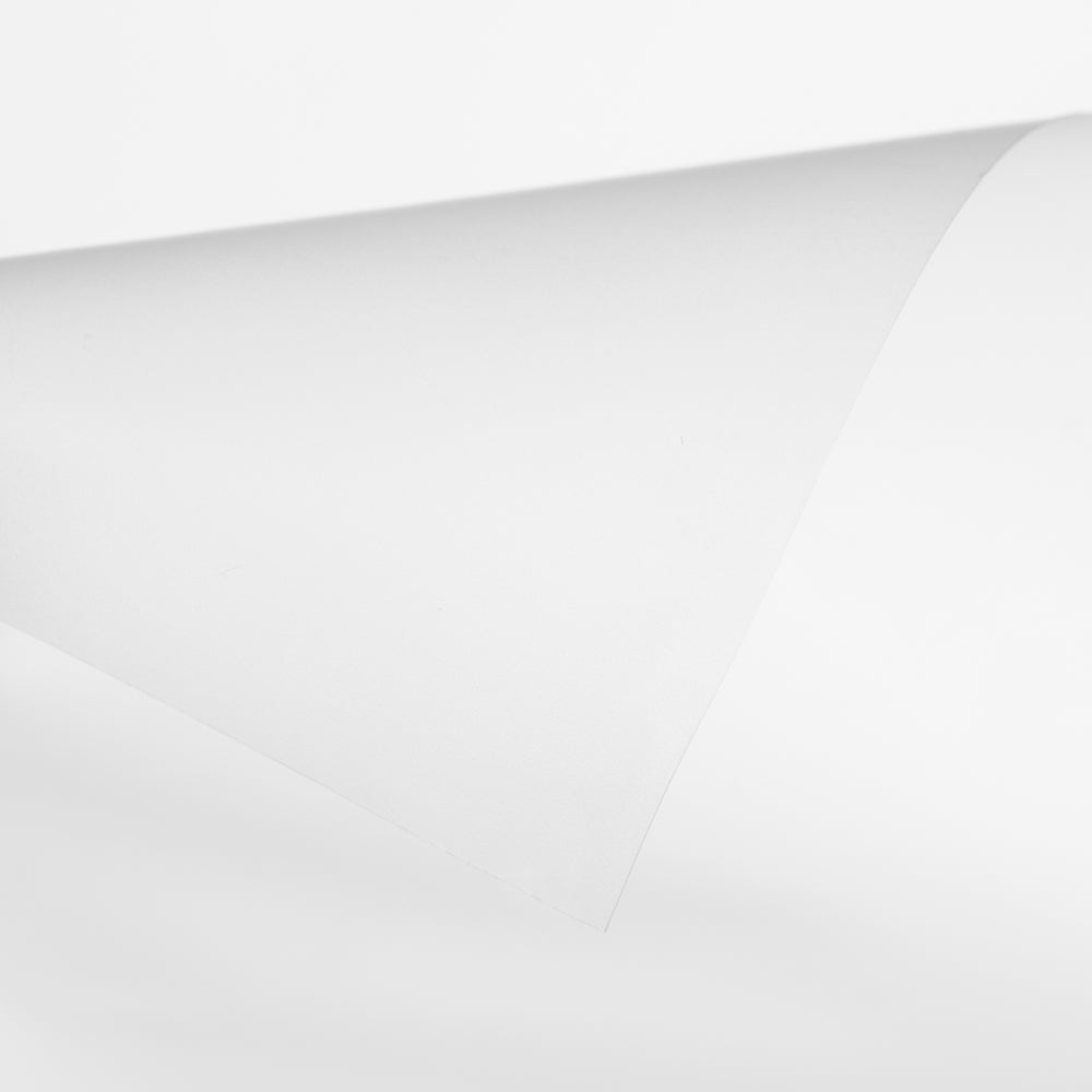 Plástico Uso Alimentario Transparente - Ribes y Casals