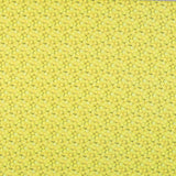 Algodón Pelotas Tenis - Ribes y Casals