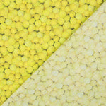 Algodón Pelotas Tenis - Ribes y Casals