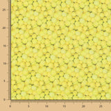 Algodón Pelotas Tenis - Ribes y Casals