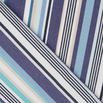 Lona Exterior Teflón Raya Azul Grande 320cm - Ribes y Casals