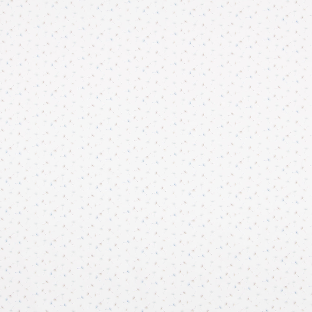 Algodón Diente León Blanco - Ribes y Casals