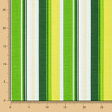 Loneta Estampada Rayas Lima - Ribes y Casals