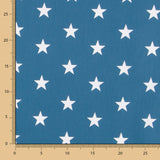 Algodón Maxi Estrella Canard - Ribes y Casals