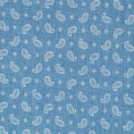 Denim Algodón Claro Cachemire Mini - Ribes y Casals