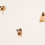 Twill Carlino Crudo - Ribes y Casals