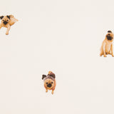 Twill Carlino Crudo - Ribes y Casals