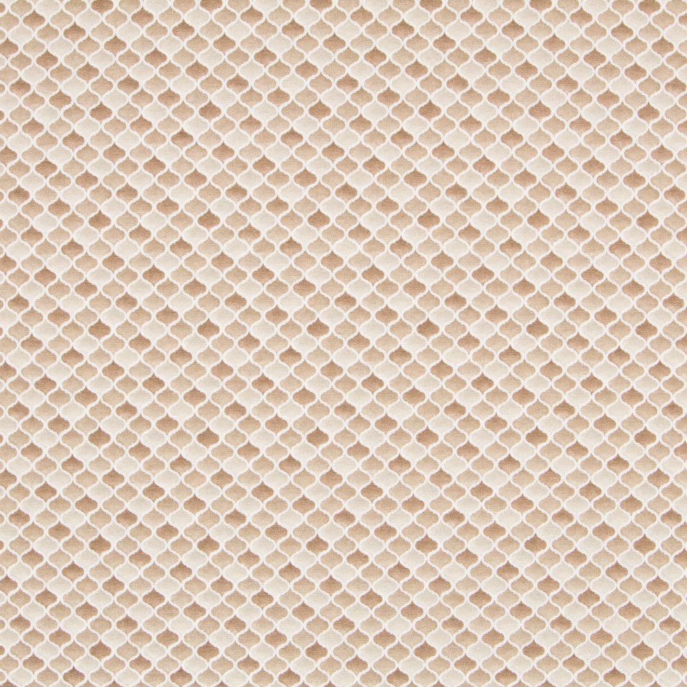 Loneta Vaneo Marrón - Ribes y Casals