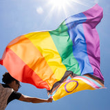 Panel Bandera LGTBIQ+ Brillante - Ribes y Casals