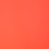 Impermeable Neón Rojo - Ribes y Casals