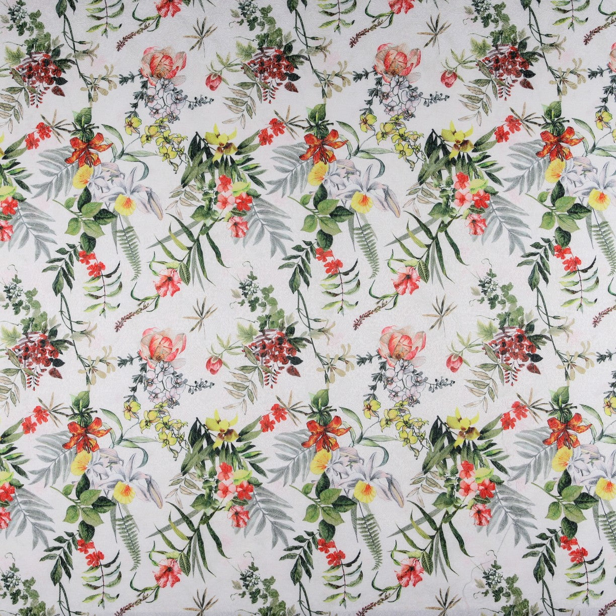 Jacquard Cachemir Tropical - Ribes y Casals