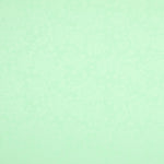 Jacquard Floral Verde Menta - Ribes y Casals