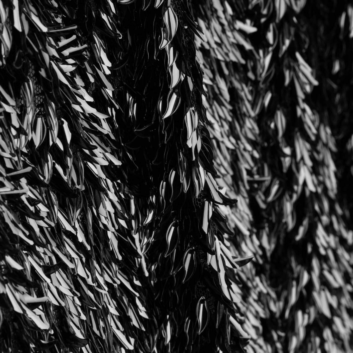 Lentejuela Lycra Cheers Negro - Ribes y Casals