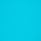 Lycra Baño Pike Turquesa - Ribes y Casals