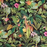 Loneta Algodón Safari Negra - Ribes y Casals