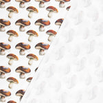 Loneta Algodón Setas Cruda - Ribes y Casals