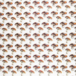 Loneta Algodón Setas Cruda - Ribes y Casals