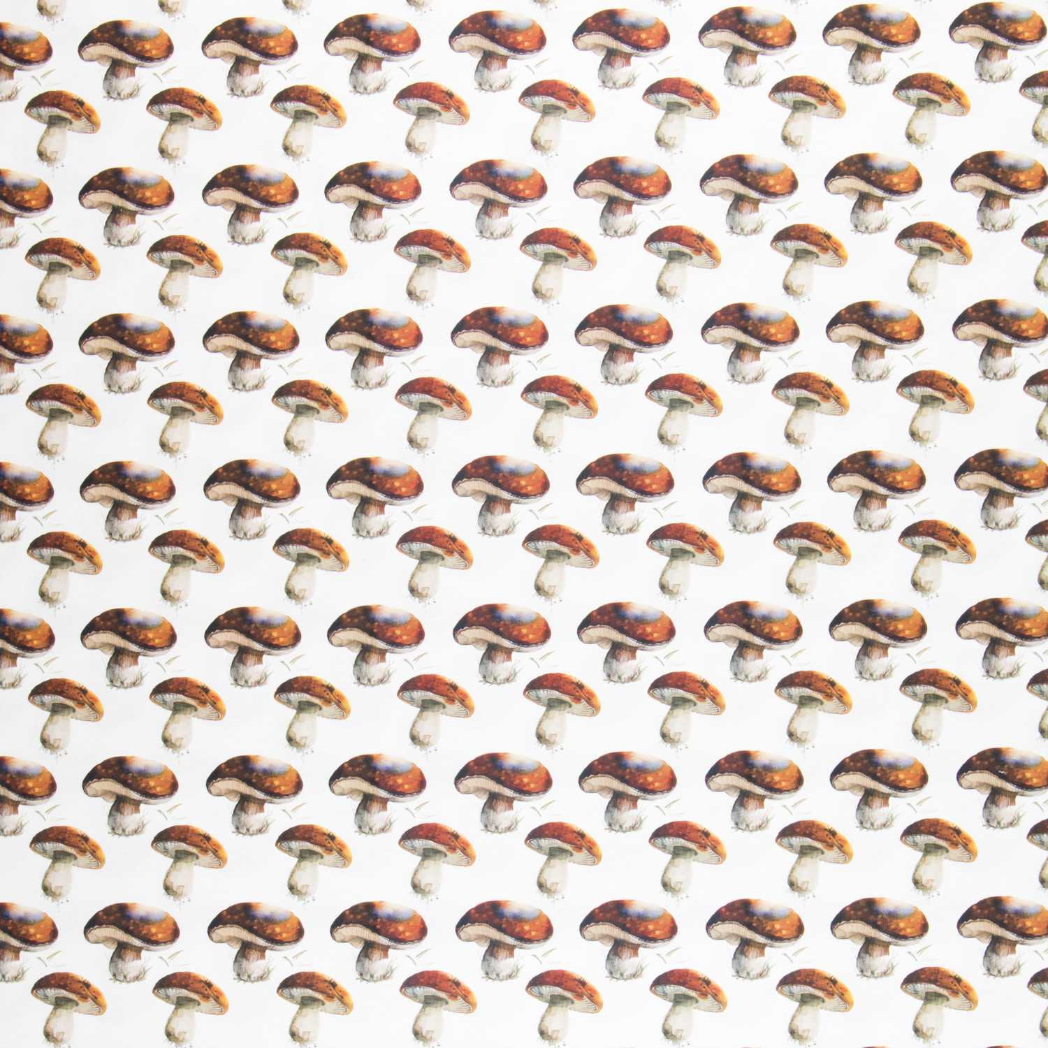 Loneta Algodón Setas Cruda - Ribes y Casals