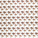 Loneta Algodón Setas Cruda - Ribes y Casals