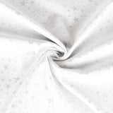 Loneta Crhistmas Glitter Plata - Ribes y Casals