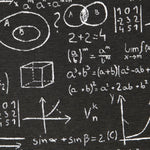 Loneta Einstein Negra - Ribes y Casals