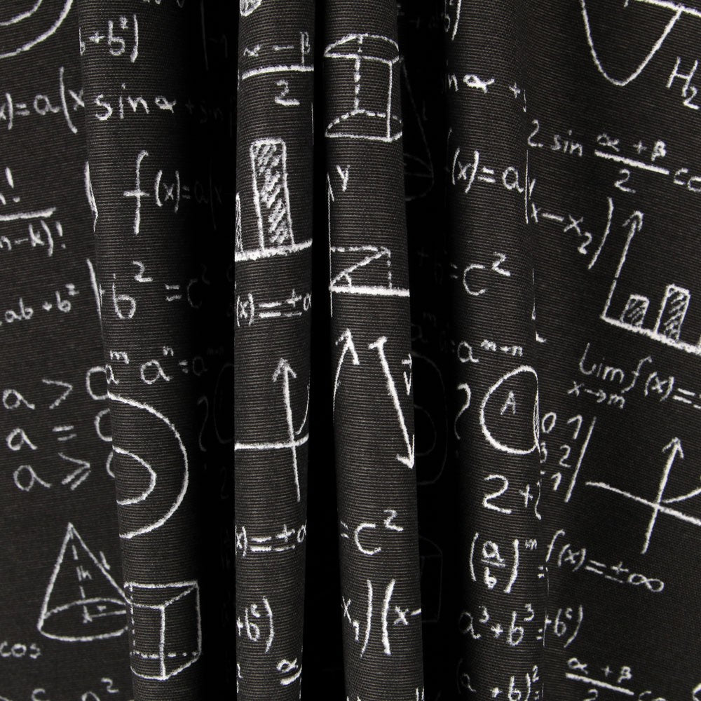 Loneta Einstein Negra - Ribes y Casals