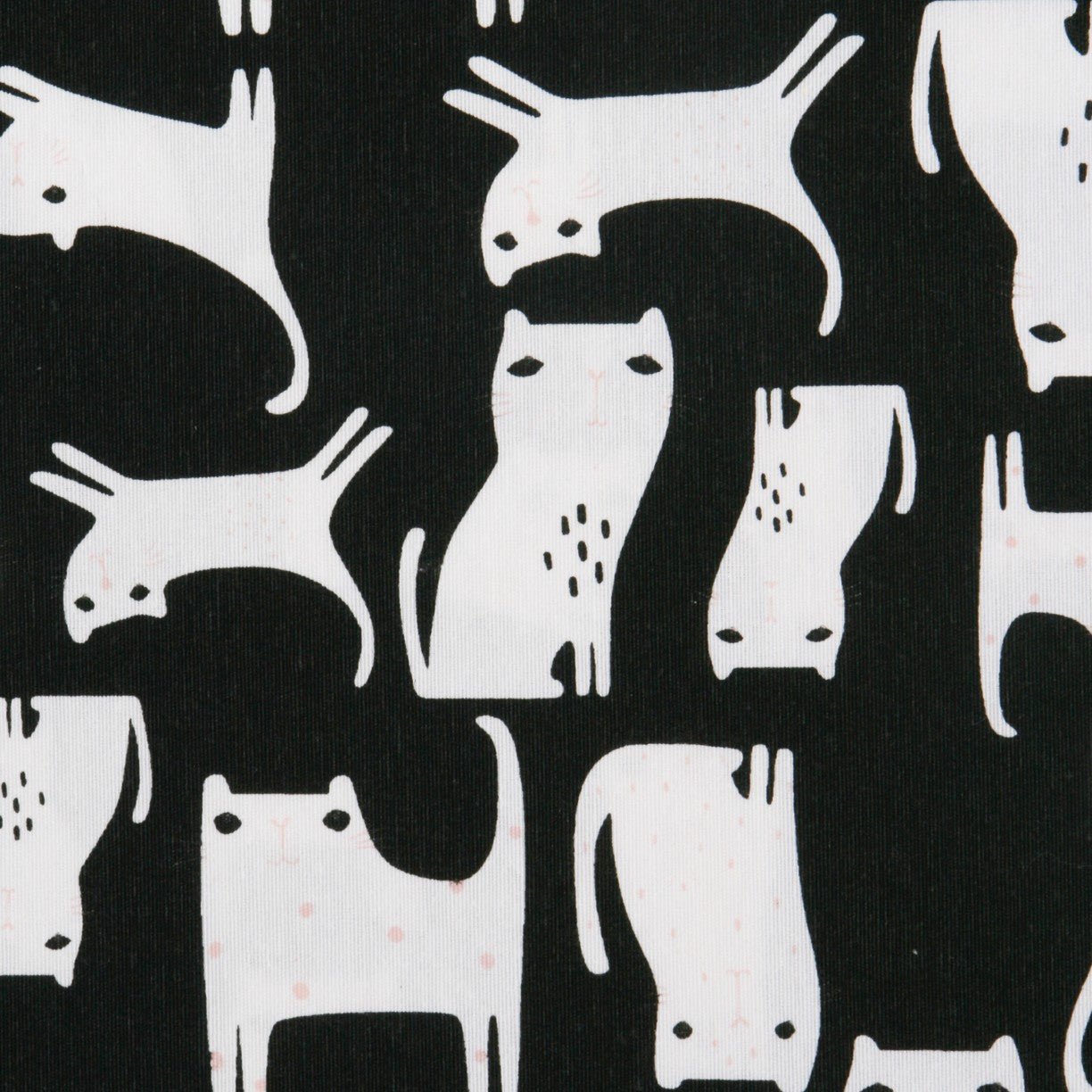 Loneta Estampada Gatitos Negra - Ribes y Casals