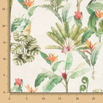 Loneta Kailani - Ribes y Casals