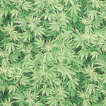 Loneta Marihuana Plantas Verde - Ribes y Casals