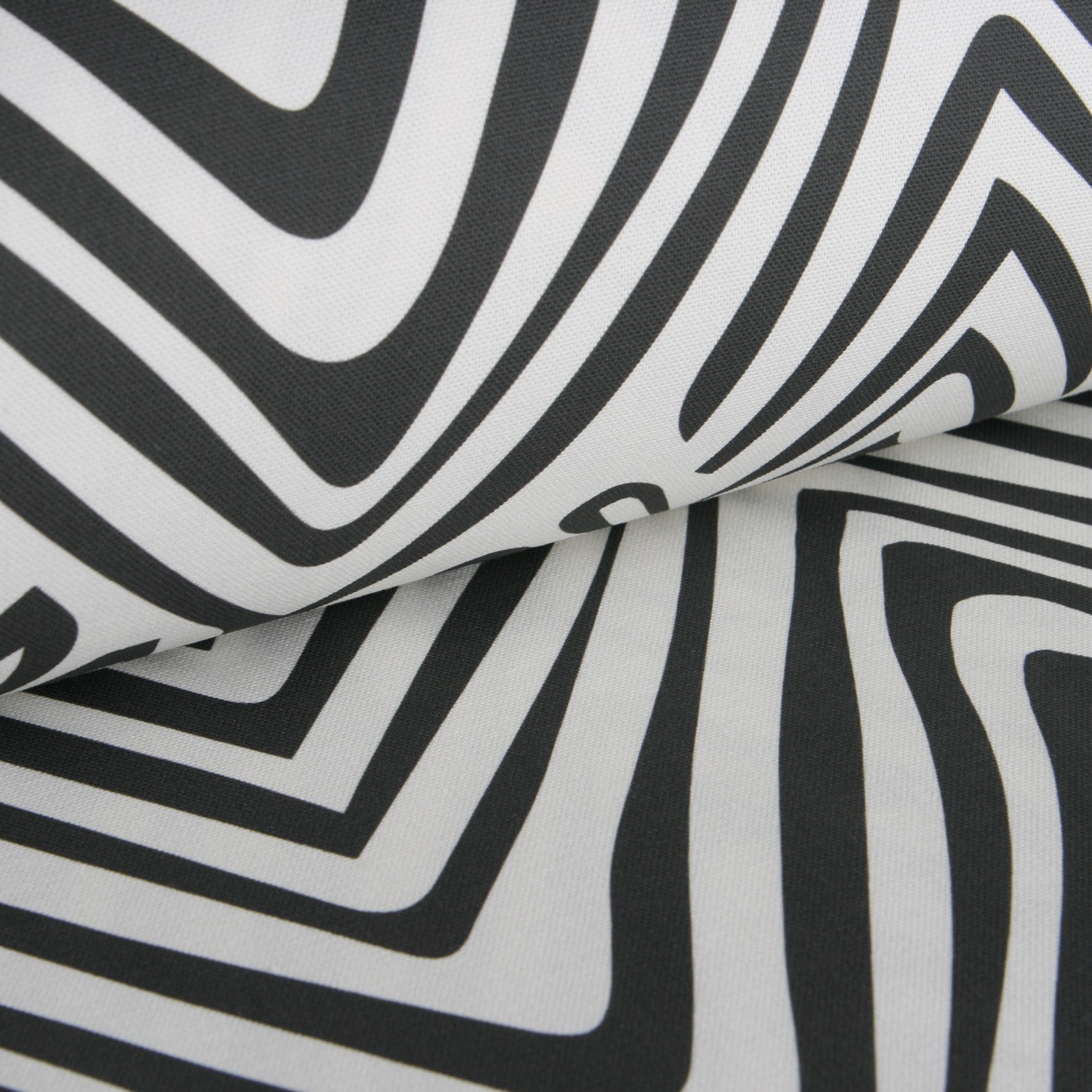 Loneta Minimal Negra - Ribes y Casals