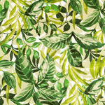 Loneta Panamá Selva Blanca - Ribes y Casals