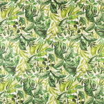 Loneta Panamá Selva Blanca - Ribes y Casals