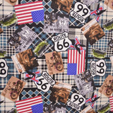 Loneta Ruta 66 - Ribes y Casals