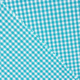 Loneta Cuadros Mini Turquesa - Ribes y Casals