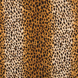 Loneta Estampada Leopardo - Ribes y Casals