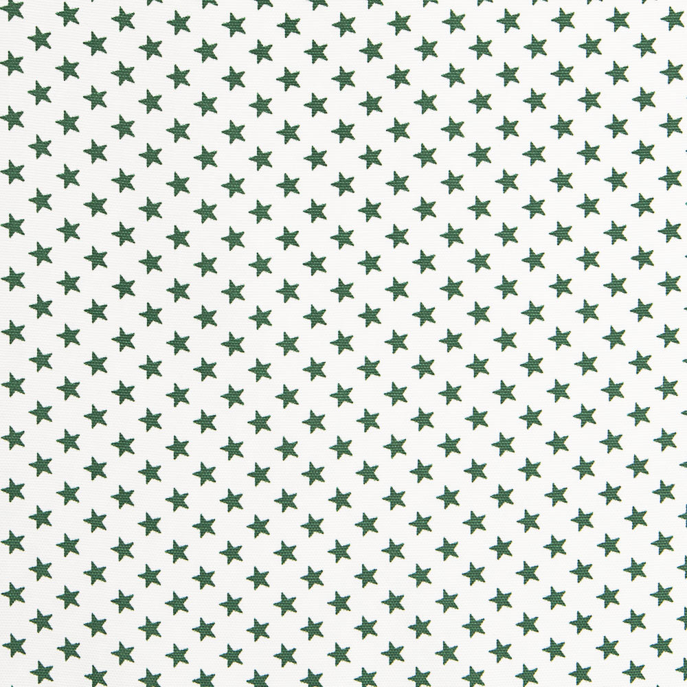 Loneta Estrellas 13 mm Verde - Ribes y Casals